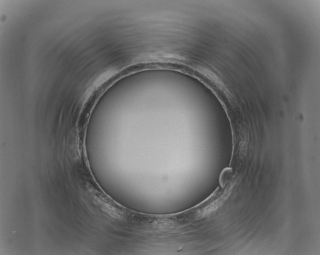 X0000072500974200607211245