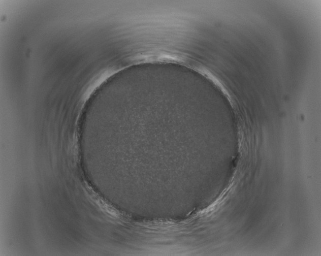 X0000072500975200607211245