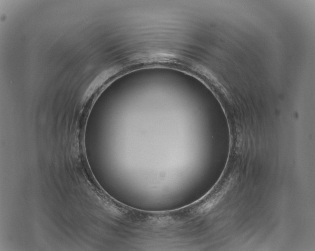 X0000072500978200607211245