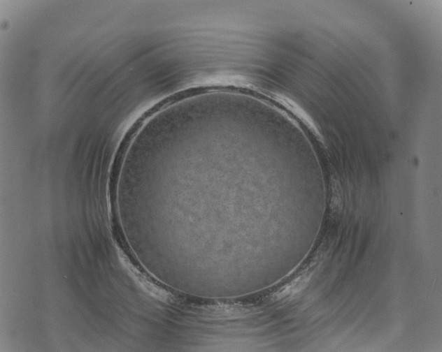 X0000072500980200607211245