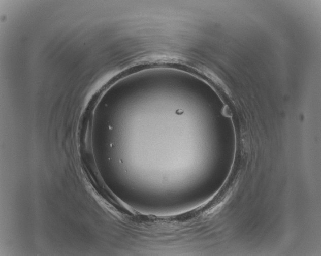 X0000072500981200607211245