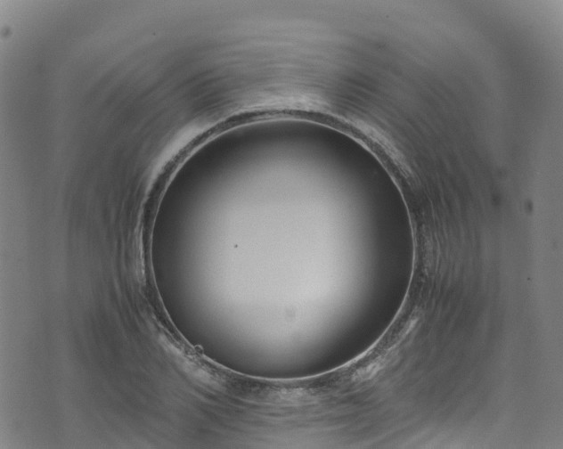 X0000072500982200607211245