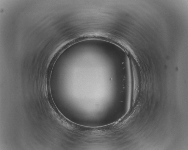 X0000072500984200607211245