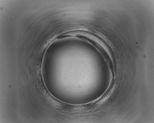 X0000072500985200607211245