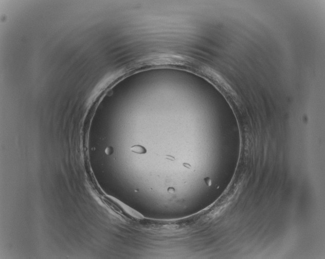 X0000072500986200607211245