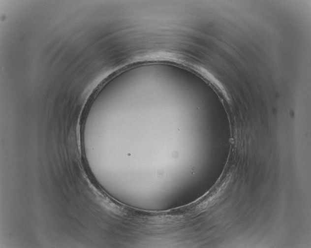 X0000072500988200607211245