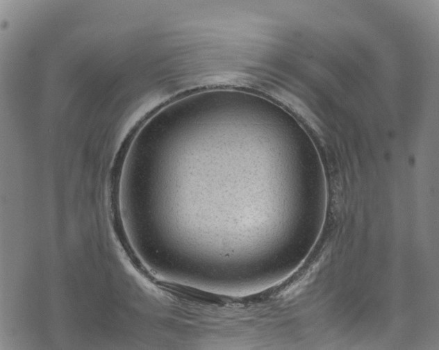 X0000072500991200607211245