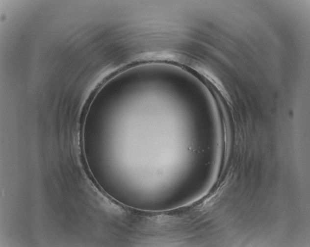 X0000072500992200607211245