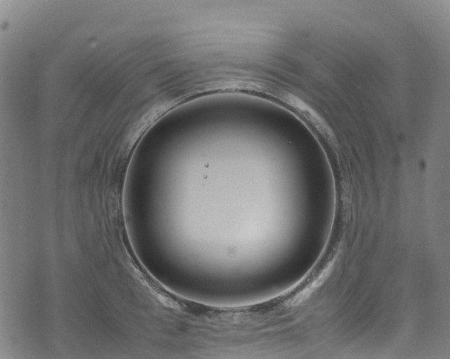 X0000072500993200607211245