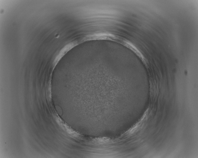 X0000072500994200607211245