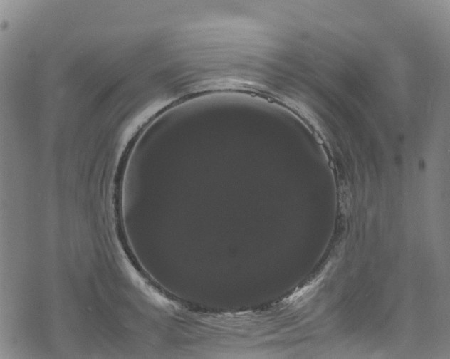 X0000072500995200607211245