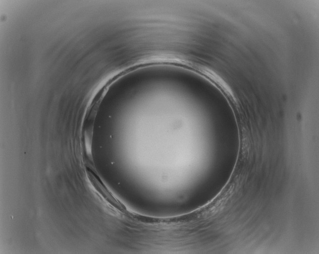 X0000072500996200607211245