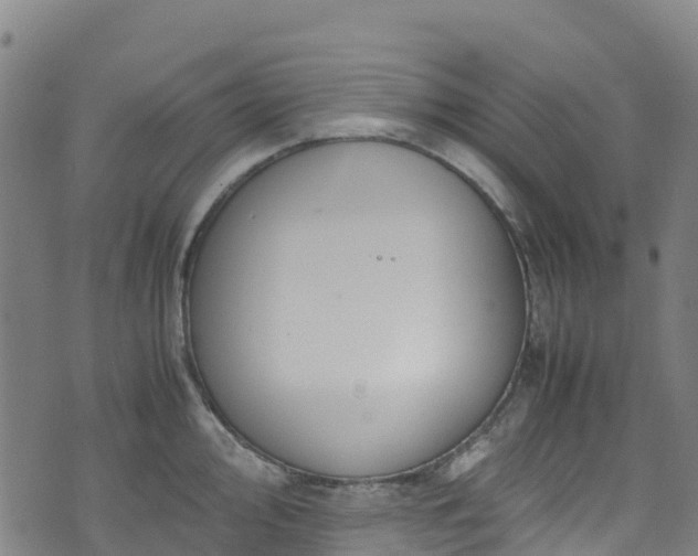 X0000072501000200607211245