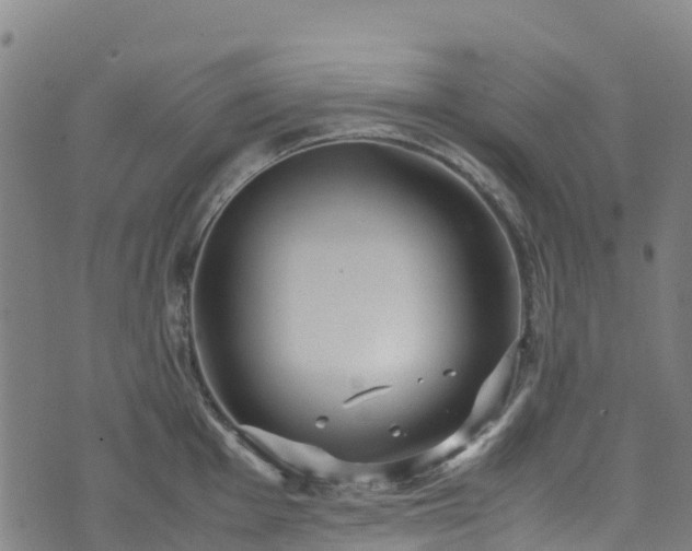 X0000072501001200607211245