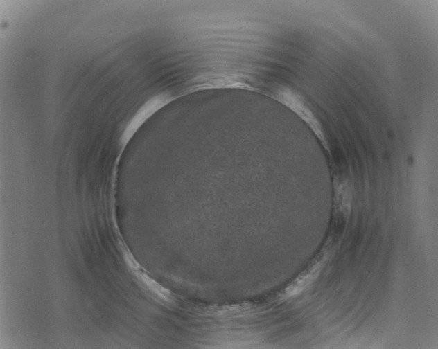 X0000072501002200607211245