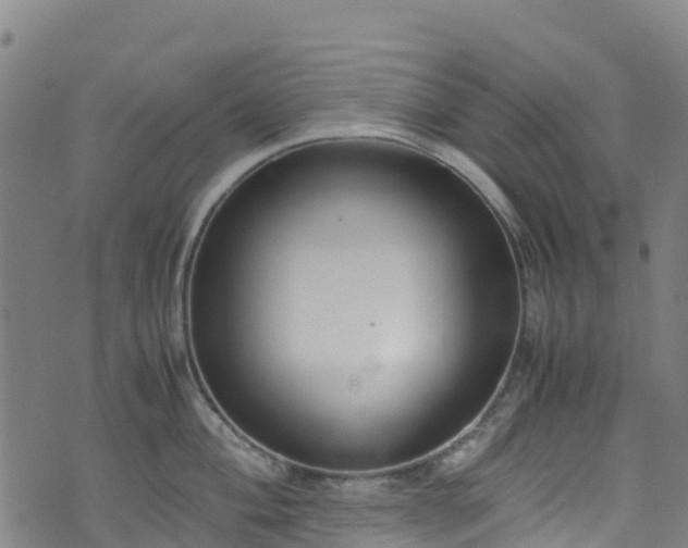 X0000072501004200607211245