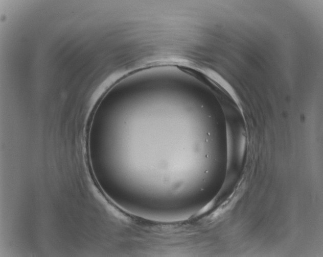 X0000072501005200607211244