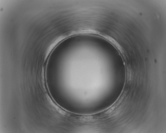 X0000072501006200607211244