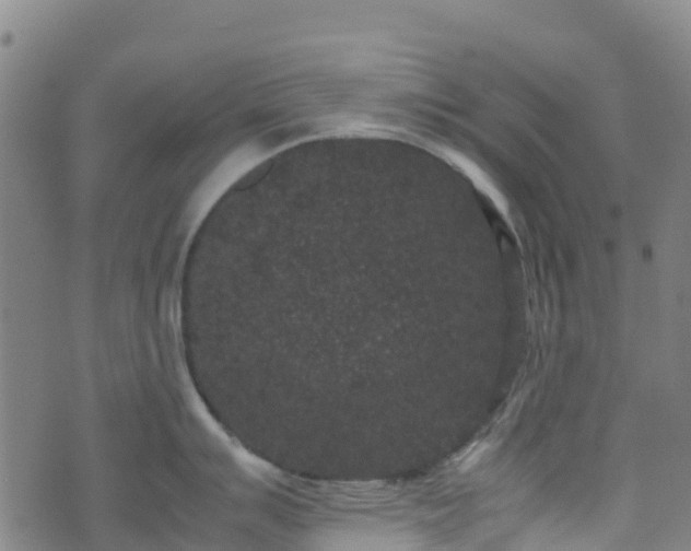 X0000072501007200607211244