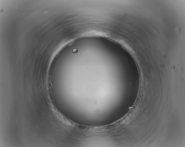 X0000072501008200607211244