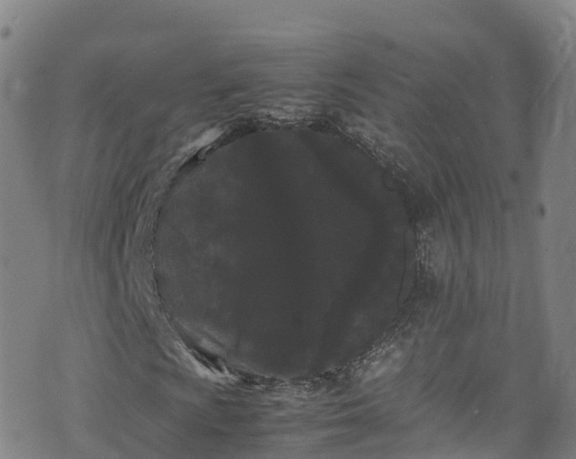 X0000072501009200607211244