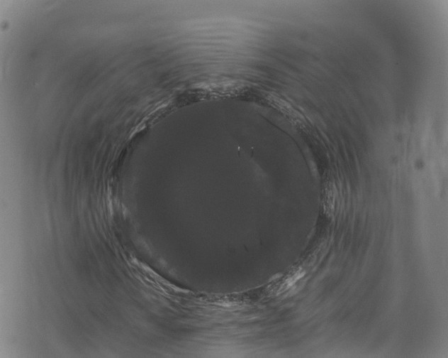 X0000072501010200607211244