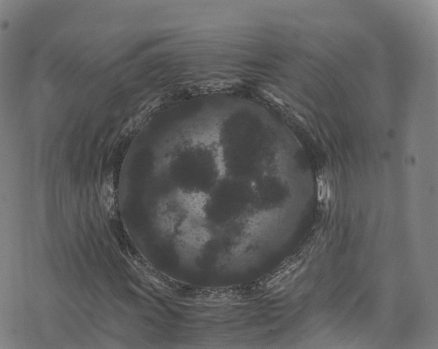 X0000072501011200607211244