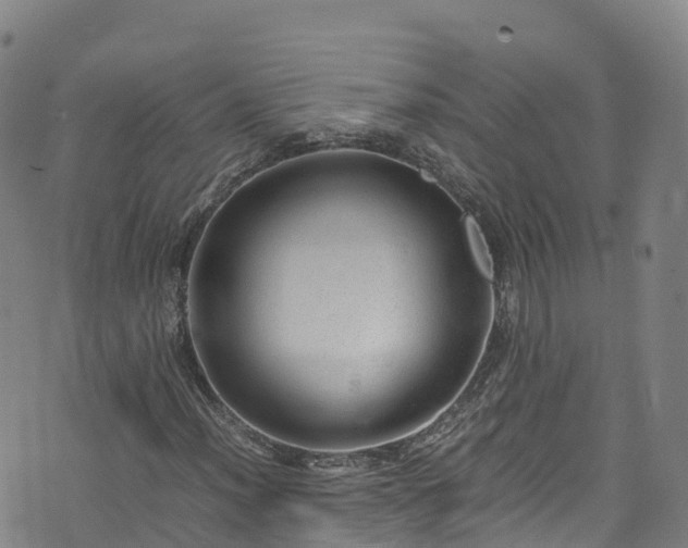 X0000072501012200607211244