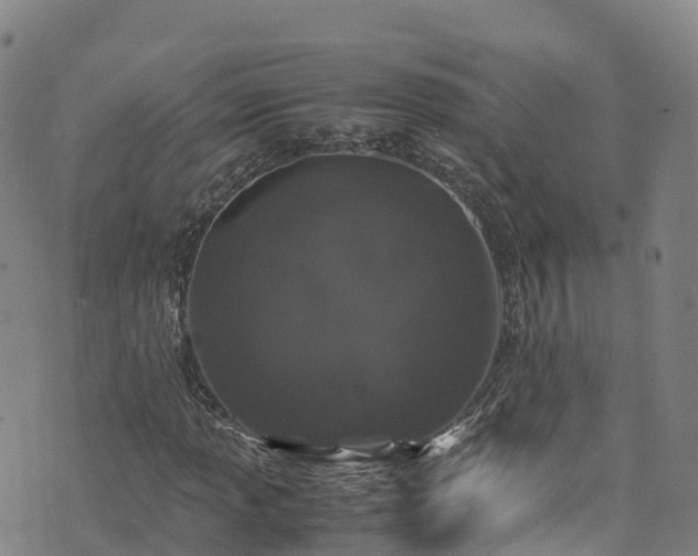 X0000072501013200607211244