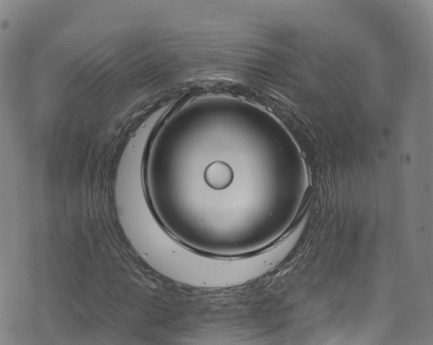 X0000072501014200607211244