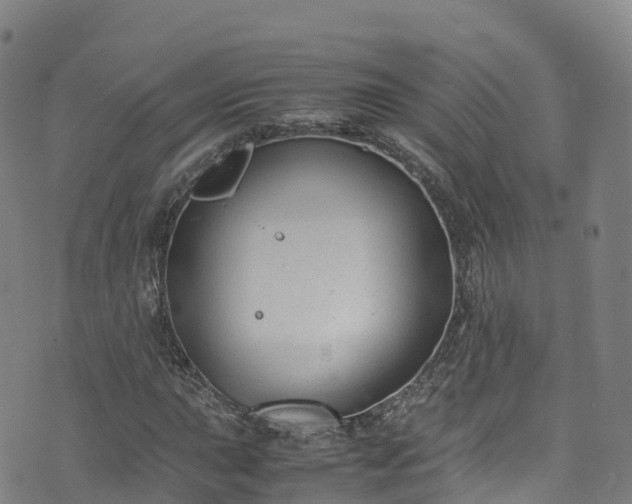 X0000072501015200607211244