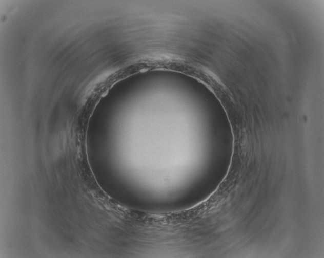 X0000072501016200607211244