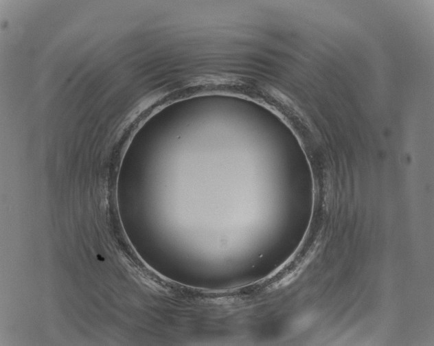 X0000072501017200607211244