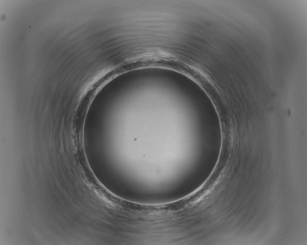 X0000072501018200607211244