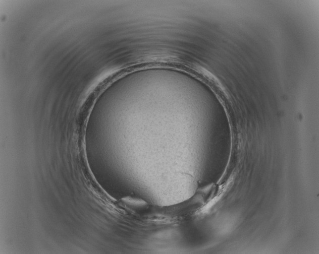 X0000072501019200607211244