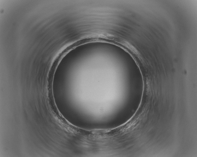 X0000072501020200607211244