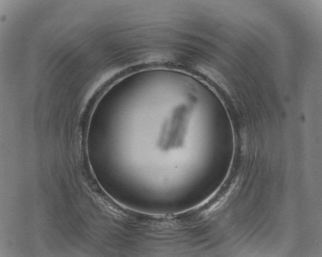 X0000072501021200607211244