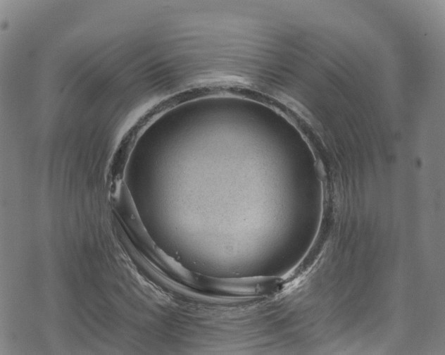 X0000072501022200607211244