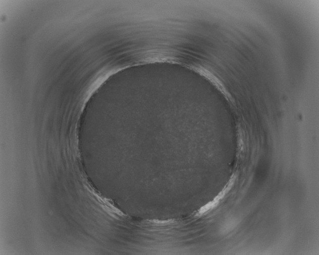 X0000072501023200607211244