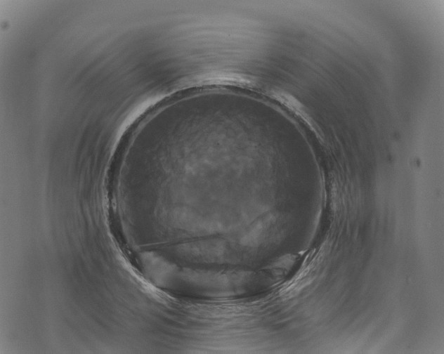 X0000072501024200607211244