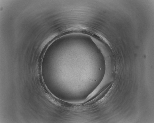 X0000072501026200607211244