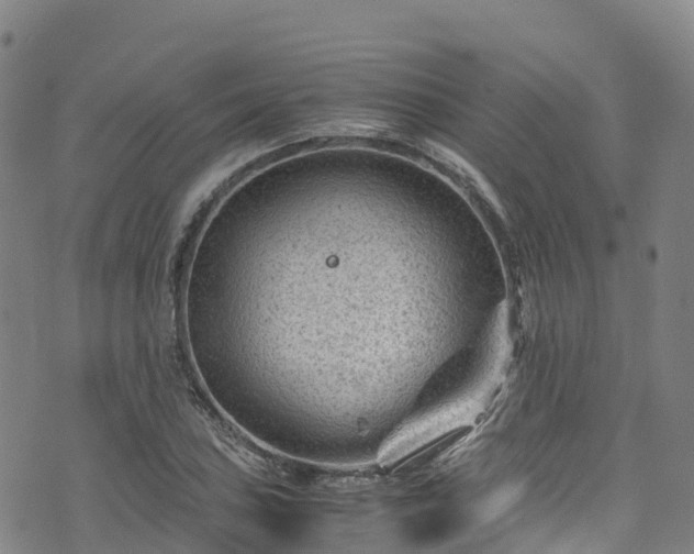 X0000072501027200607211244