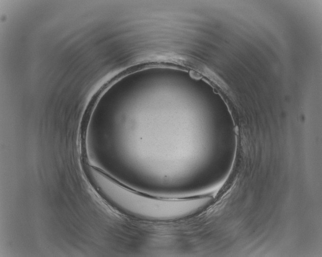 X0000072501028200607211244