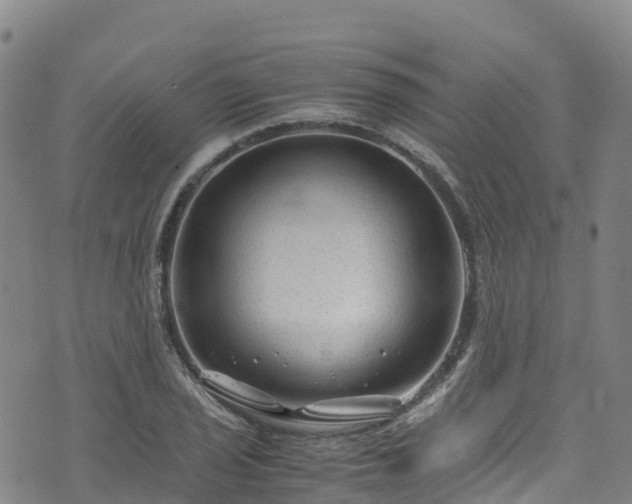 X0000072501029200607211244