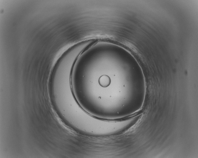 X0000072501030200607211244