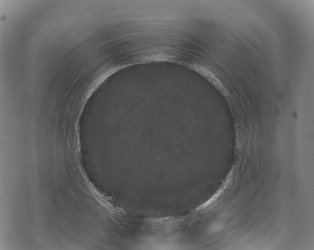 X0000072501031200607211244