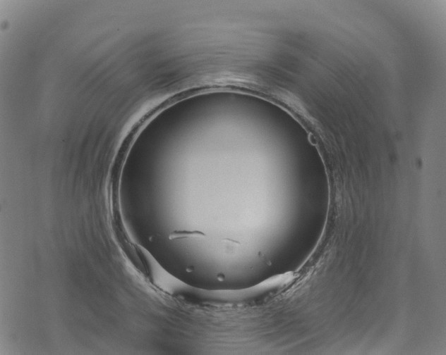 X0000072501032200607211244