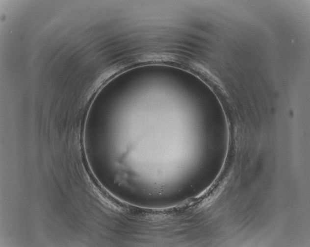 X0000072501033200607211244