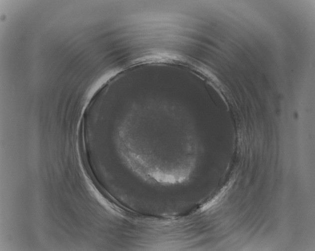 X0000072501034200607211244