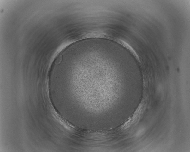 X0000072501035200607211244